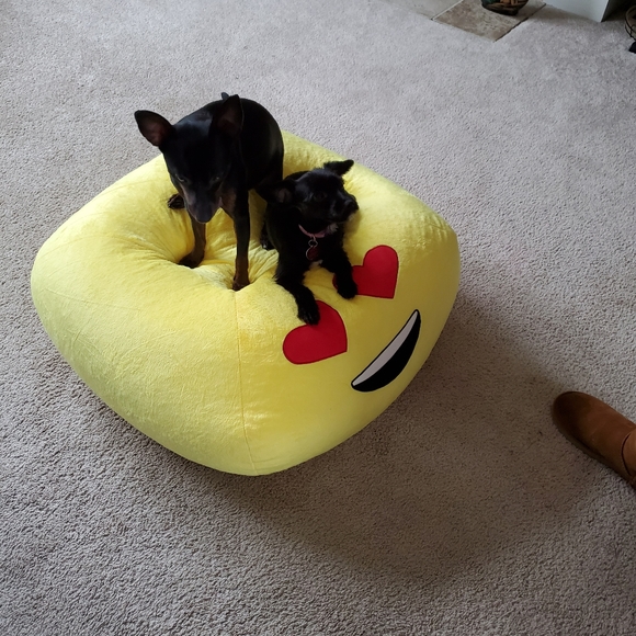 Meet your Posher, Rochelle - Picture 3 of 4